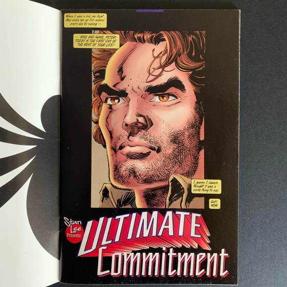 The Sensational Spider-Man - Picture 2 of 4